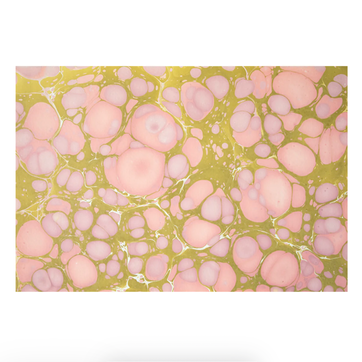 Hester & Cook Placemats